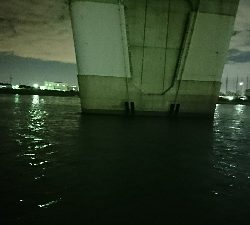 まだいました♪(* ̄∇ ̄)ノ