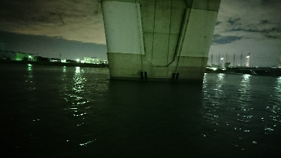 まだいました♪(*￣∇￣)ノ