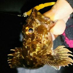 洲本から北上しながらランガン