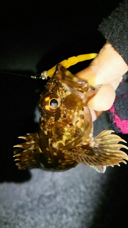 洲本から北上しながらランガン