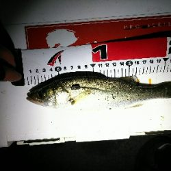 予報以上の爆風…