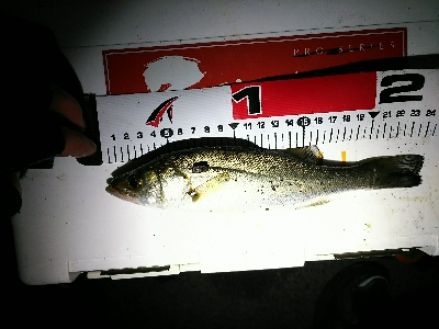 予報以上の爆風…