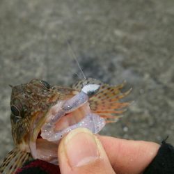 デイロックゲーム