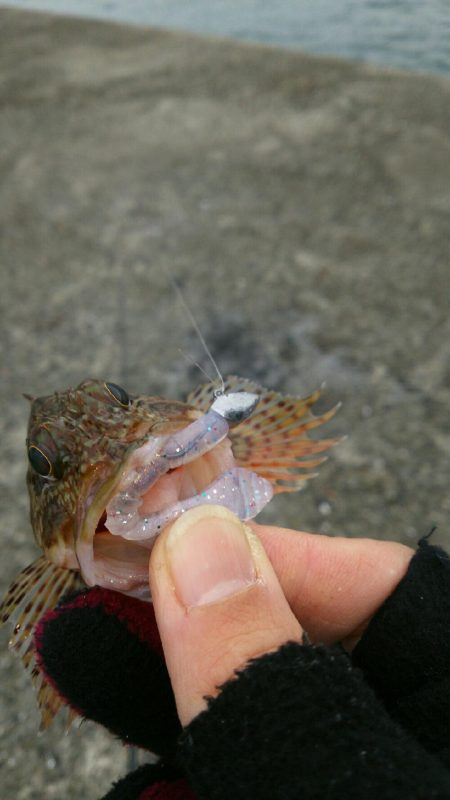 デイロックゲーム