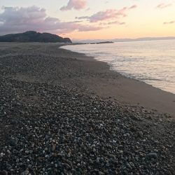 仁淀川河口サーフ ヒラメ