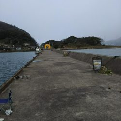 まだアジいてた！