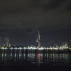 アジどこら~(>_<)