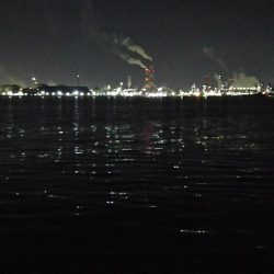 今日もツいてる~