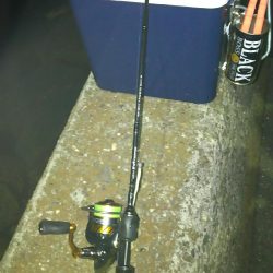 釣り納めしたはずが