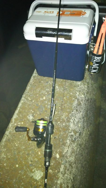 釣り納めしたはずが