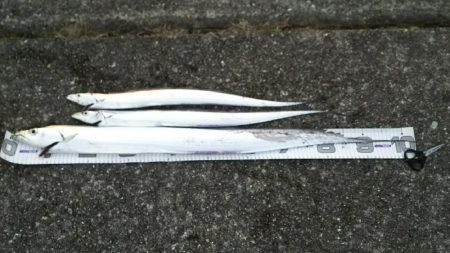 朝練 最大級と最小サイズ