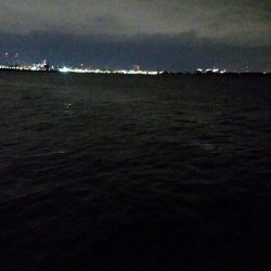 タチウオ狙いでまさかの