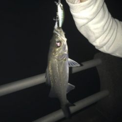 チーバスやってたらでっかいの来た