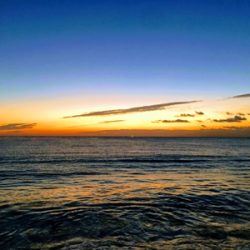 大里松原海岸 アオリイカ 500g×2