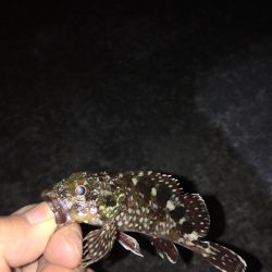 爆風ライトゲーム