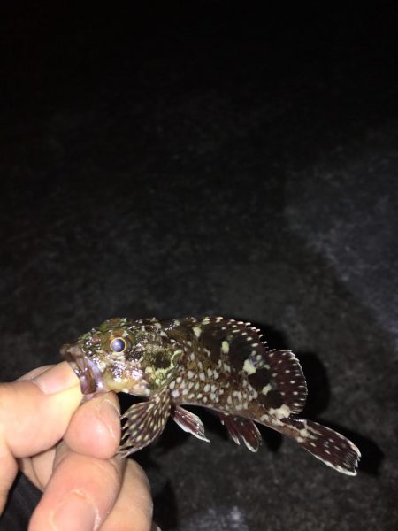 爆風ライトゲーム