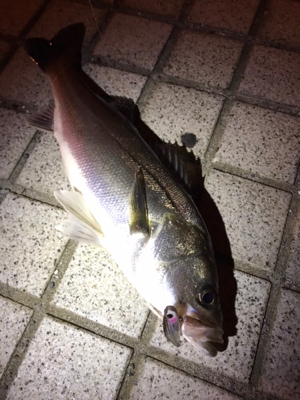 ミニエントのレンジ♪