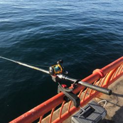 4日振りの平磯(^^)