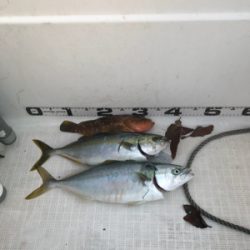 マイボート ジギング