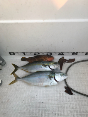 マイボート ジギング