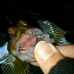 メーカーさんのイベント帰りに早速♪