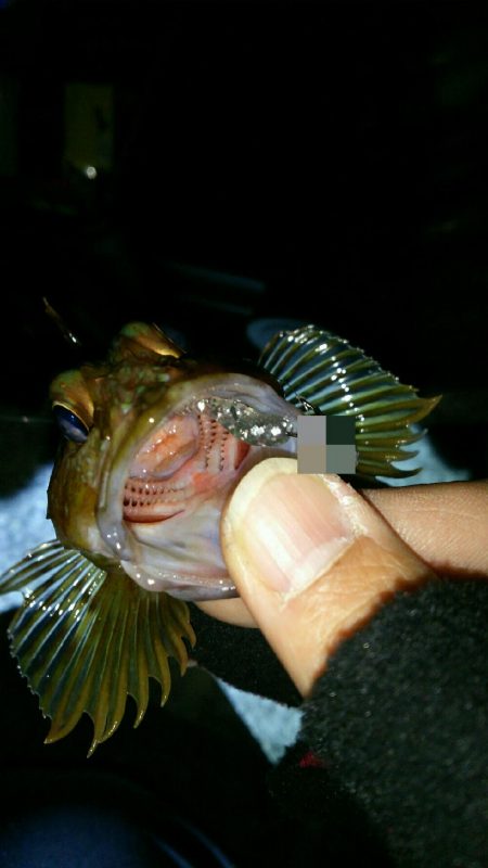 メーカーさんのイベント帰りに早速♪