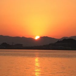 サイズは上がらず