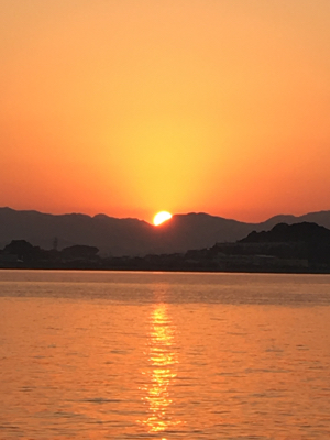 サイズは上がらず