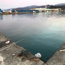 釣れたものの…