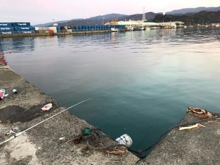 釣れたものの…