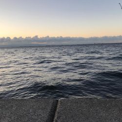 ケーソンタチウオ