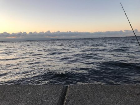 ケーソンタチウオ