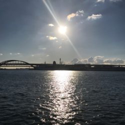 サワラとサゴシ♫