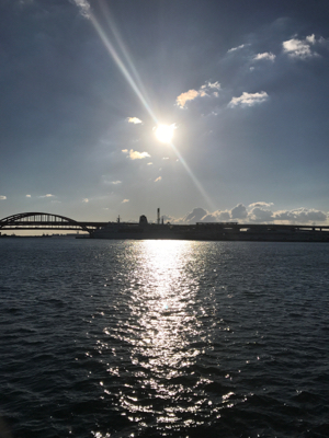 サワラとサゴシ♫