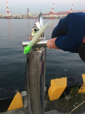 大阪奥湾ワインド 冬の鶴浜緑地