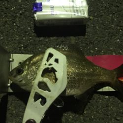 アジング成功！