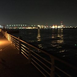 ドラゴンきました‼️