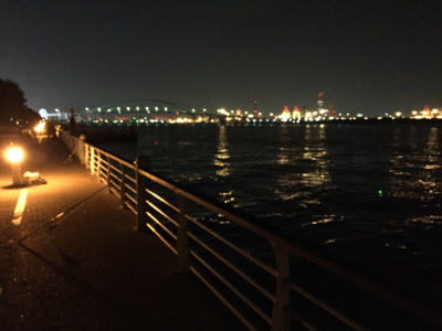 ドラゴンきました‼️