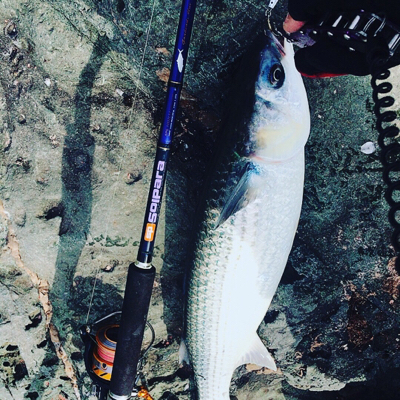 エキサイティングな釣りを楽しむ