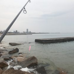 E.S.OとG.U.F.Uでボウズ逃れ^^;