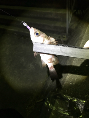 ライトゲーム五目達成