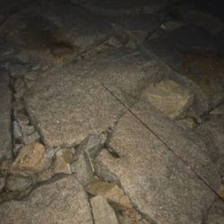 これからの季節の楽しみ！