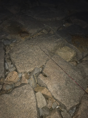 これからの季節の楽しみ！