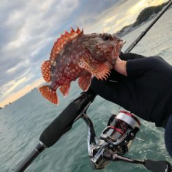 アジ釣りたかった…