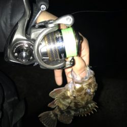 アジングのつもりが