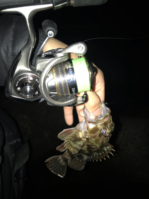 アジングのつもりが