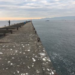 大アジねらいに