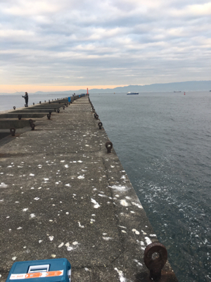 大アジねらいに