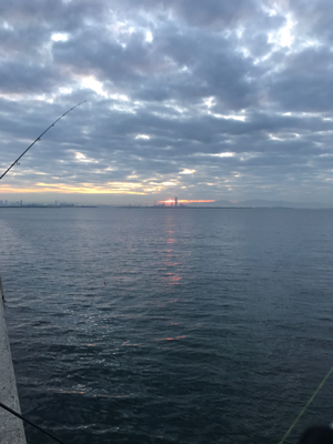 2017ラストに大当たり！