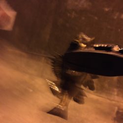 アジングのつもりが…